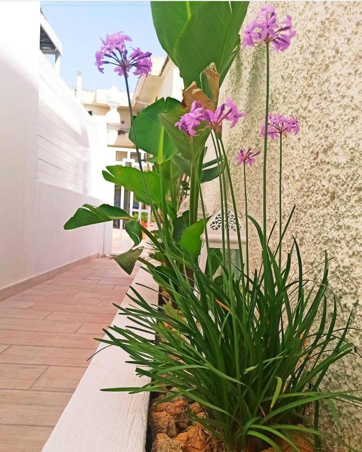 B&B Suites Via Del Mare Presicce Exterior foto